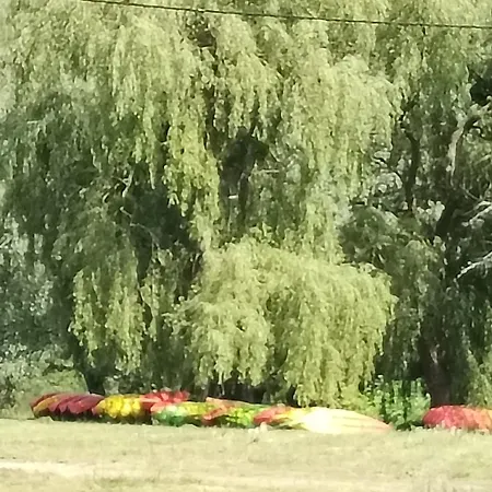 Les Tilleuls Habitación en casa particular Vorey